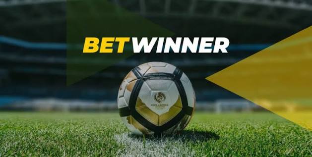 Your Comprehensive Guide to BetWinner Bonuses